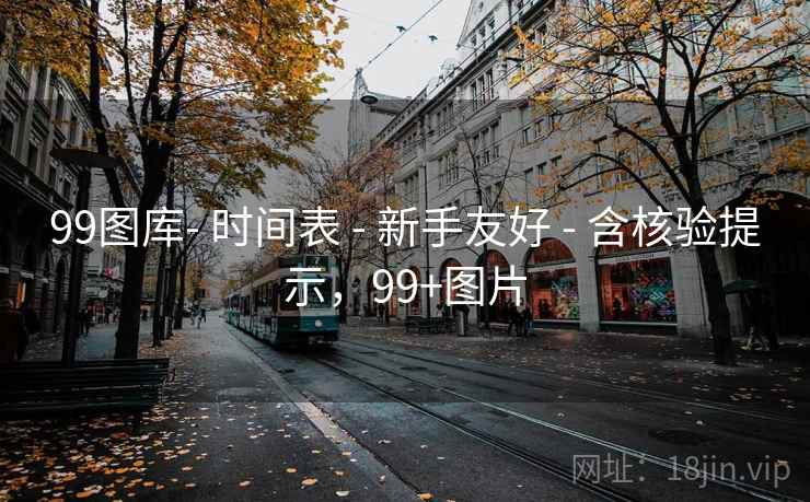 99图库- 时间表 - 新手友好 - 含核验提示，99+图片